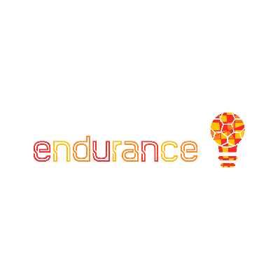 endurance